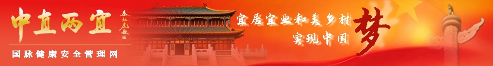 国脉健康安全管理网