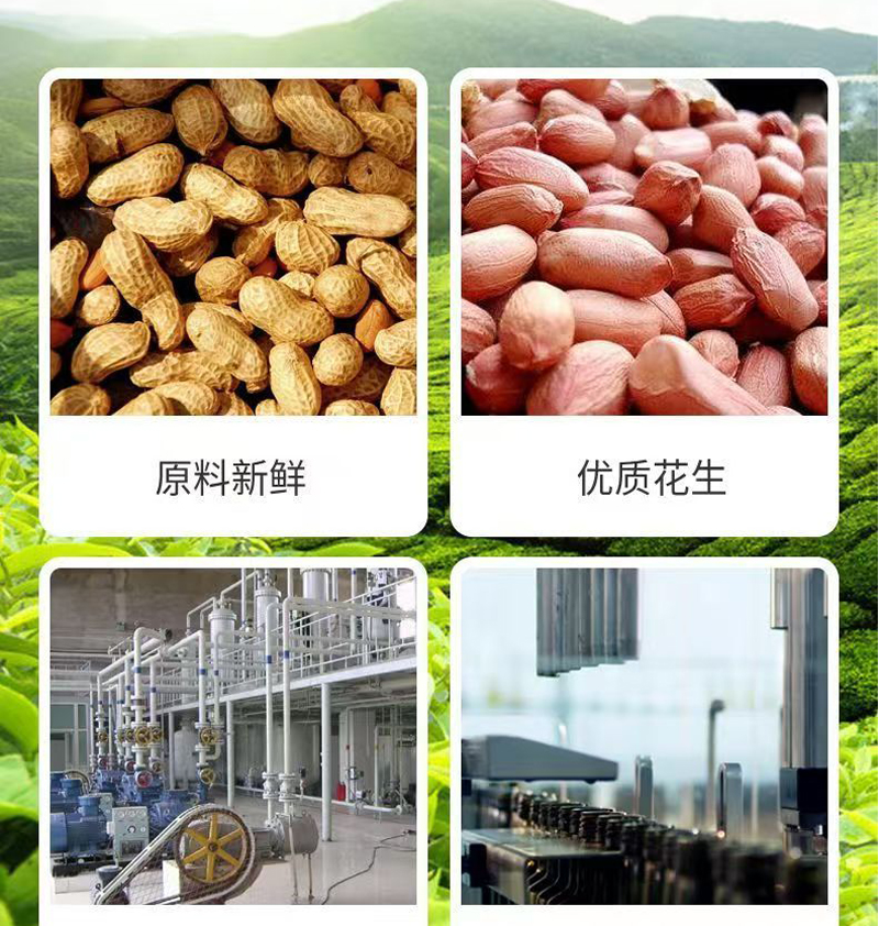 木乃香一级浓香花生油(图3)